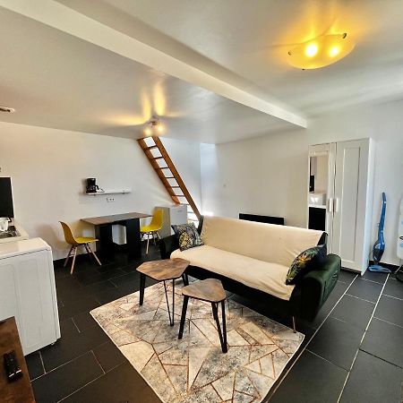 Studios Au Quartier Pavillonnaire Rue D Ambert Orléans Dış mekan fotoğraf